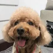中村清正