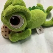 クッキーの画像