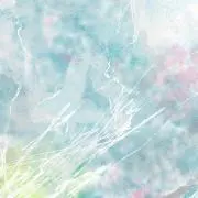 pulpの画像
