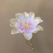 ぽんの画像