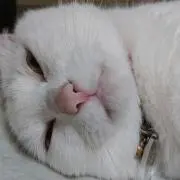 ユウキ