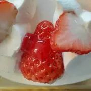 ミディの画像