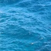 sea.の画像