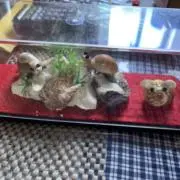 ゆりの画像