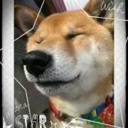 みほきー