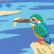 かわせみ