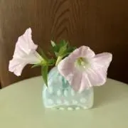 ☆*:.きんとん雲..:*☆