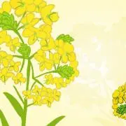 なのの画像