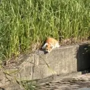 瀧川の画像
