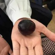 しんちゃんの画像