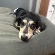 ちゃん