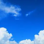みく