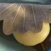 おもち