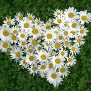 Y♡