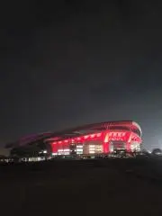 ルンメニゲの画像
