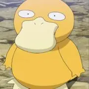 コダックの画像