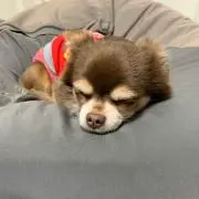ゆみ