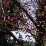 じゅん