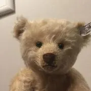 Kenの画像
