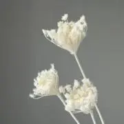 おまとめ割申請◎コメント大歓迎◎即購入◎の画像