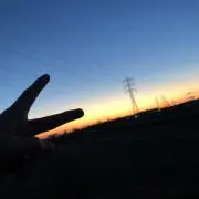 ひな