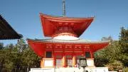 a-koの画像
