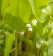 なだの画像