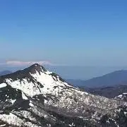 ピンクス