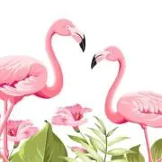 フラミンゴ_31の画像