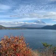 GEXの画像