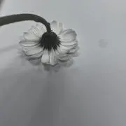wの画像