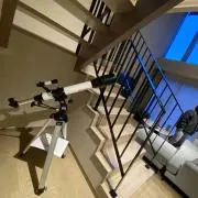 ふじの画像