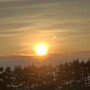 あんにゃん