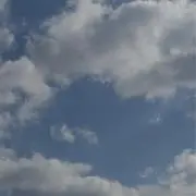 りんご