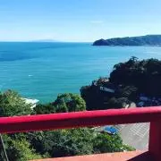 玄米茶の画像