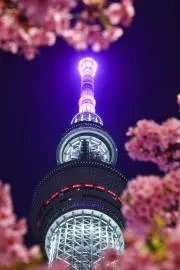 ものうります
