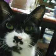 あす