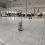 ノースの画像