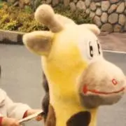 Nの画像