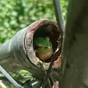 かっぱ☆プロフ読んで下さいね(^^)