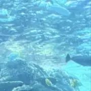 ⭐︎の画像