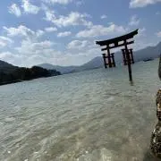 ともきの画像