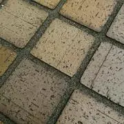 キュディオの画像