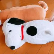 くろころの画像