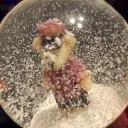 なんごの画像