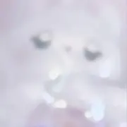 やきなすの画像