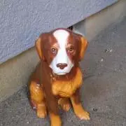 はなこゆの画像