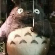 ももたろう