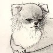 555かぁちゃん555の画像