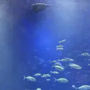 rereko.poの画像